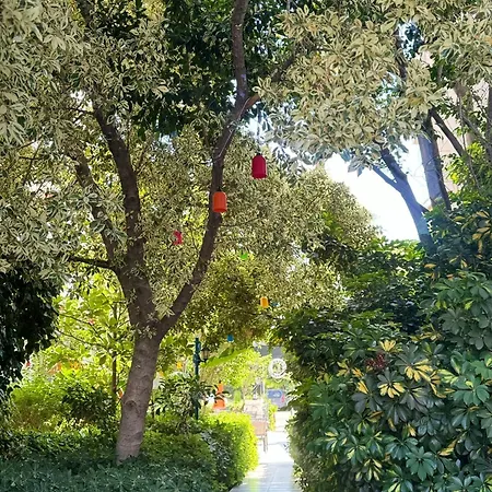 Hotell Navy İçmeler